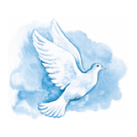 Anne Gerd Wallentinsen